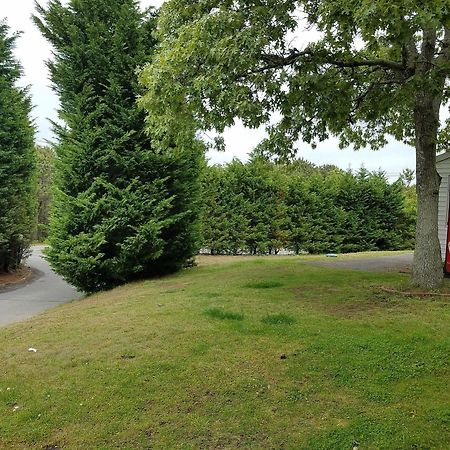 Sea Haven Resort Motel Southampton Dış mekan fotoğraf
