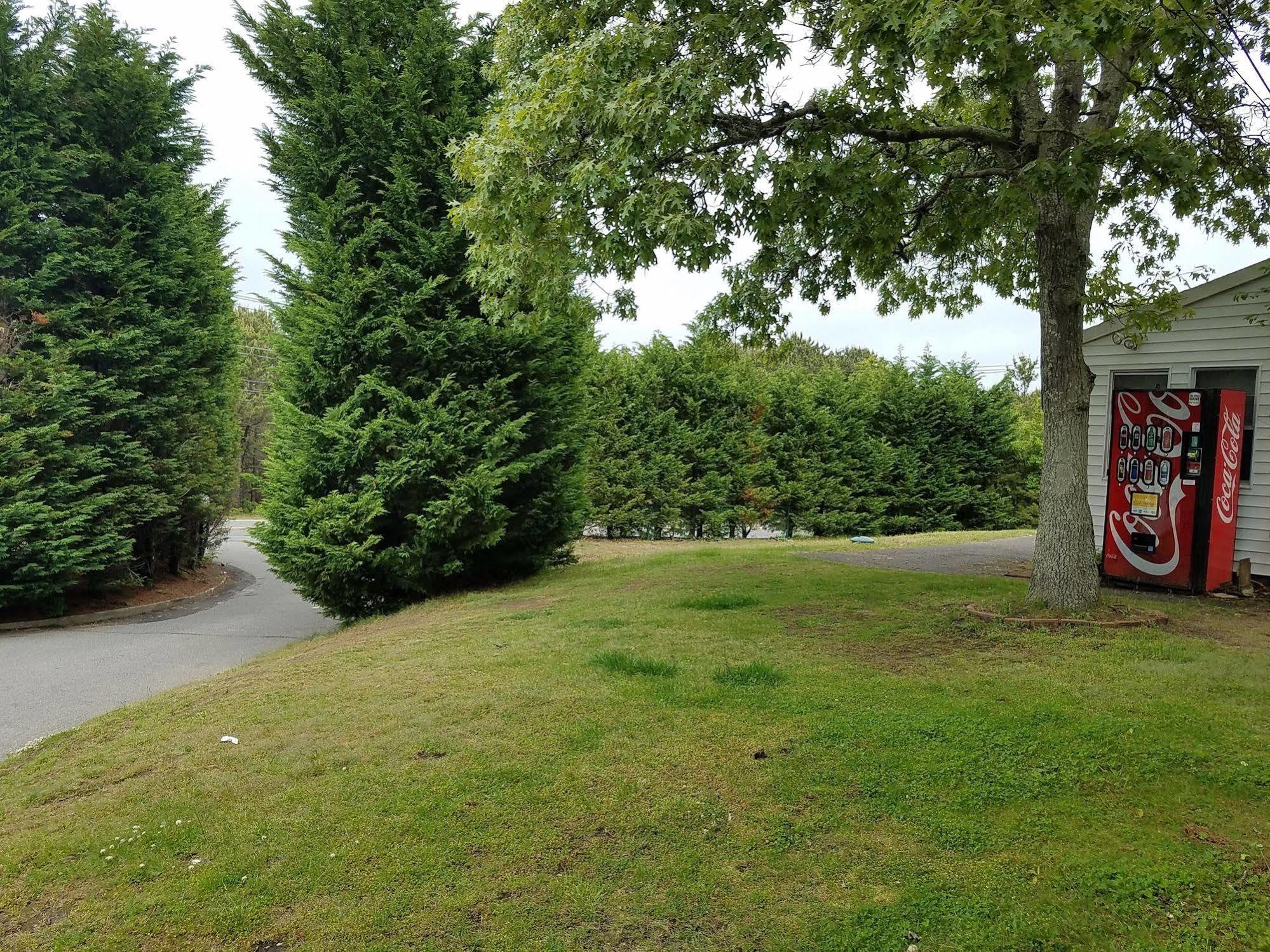 Sea Haven Resort Motel Southampton Dış mekan fotoğraf